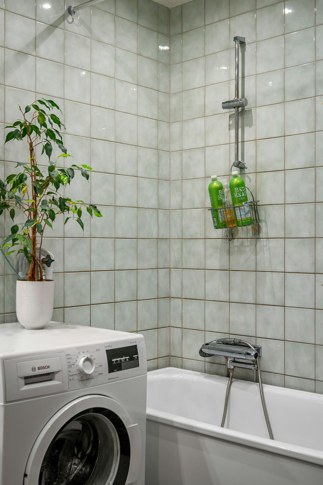 浄化 フォーミング